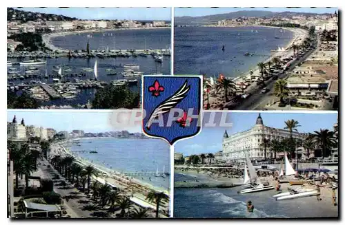 Cartes postales La Cote d'Azur Souvenir de Cannes