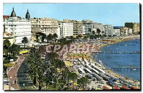 Cartes postales La Cote d'Azur Cannes les Palaces de la Croisette