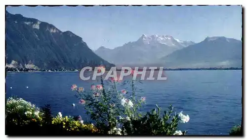 Ansichtskarte AK Montreux Chilon le Quai et les Dents du Midi