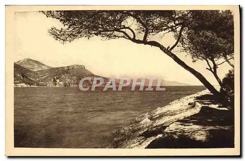 Cartes postales Saint Jean Cap Ferrat Sentier de bord de mer