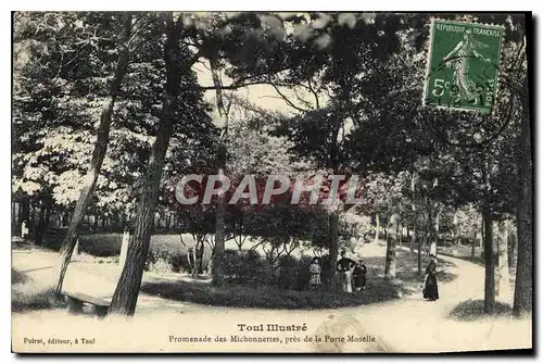 Ansichtskarte AK Toul Illustre Promenade des Michonnettes pres de la Porte Moselle