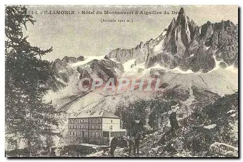 REPRO Chamonix Hotel du Montanvert et Aiguilles du Dru