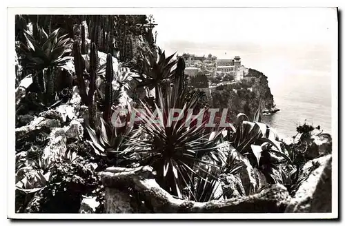 Cartes postales Monaco Les jardins Exotique