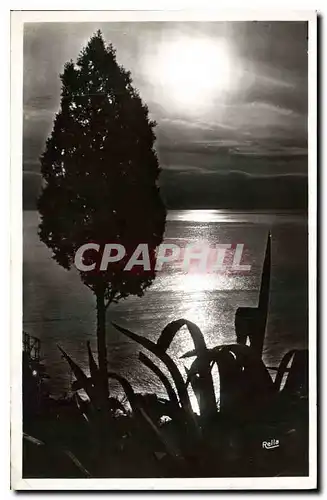 Cartes postales Cote d'Azur Crepuscute