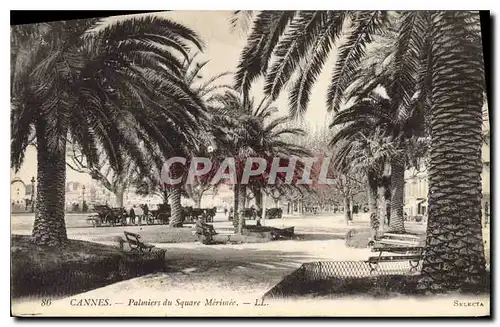 Cartes postales Cannes Palmiers du Square Merimee