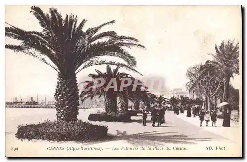 Cartes postales Cannes Alpes Maritimes Les Palmiers de la Place du Casino