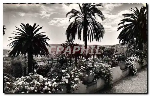 Cartes postales Cote d'Azur Sa vegetation exotique au fond la Mediterranee Parfumerie Honore Payan Visite de l'U