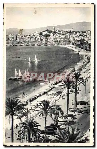 Cartes postales La Cote d'Azur Cannes La Plage de la Croisette et le Suquet