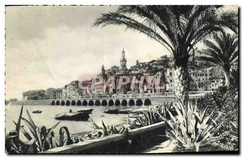 Cartes postales Menton les Palmiers