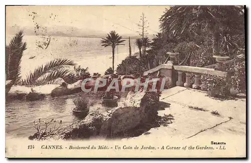 Cartes postales Cannes Boulevard du Midi un Coin de Jardin