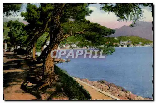 Cartes postales Menton la Promenade du Cap Martin