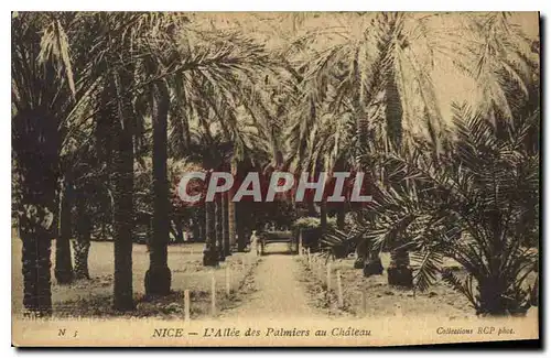 Cartes postales Nice l'Allee des Palmiers au Chateau