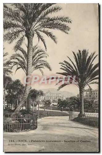 Cartes postales Nice Palmiers nouveaux Jardins et Cassino