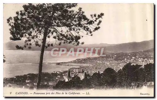 Cartes postales Cannes Panorama pris des Pins de la Californie