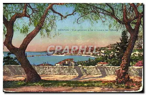 Cartes postales Menton vue generale prise a travers les oliviers