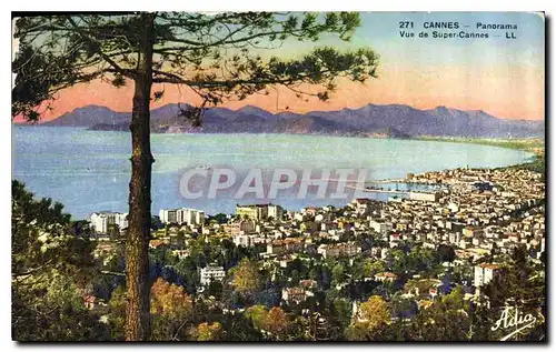 Cartes postales Cannes Panorama vue de Super Cannes