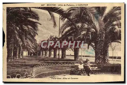 Cartes postales Menton Allee de Palmiers a Garavan