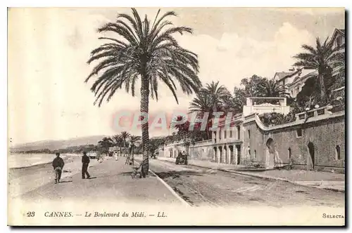 Ansichtskarte AK Cannes le Boulevard du Midi