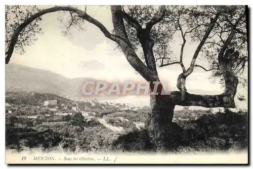 Cartes postales Menton Sous les Oliviers