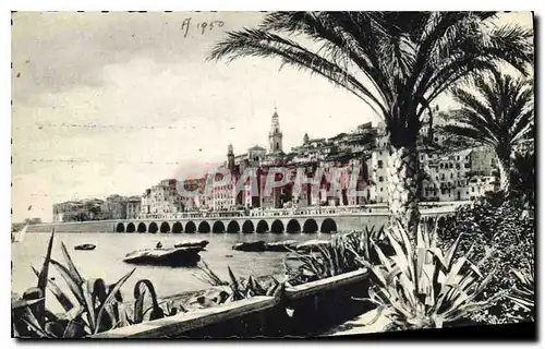 Cartes postales Menton les Palmiers