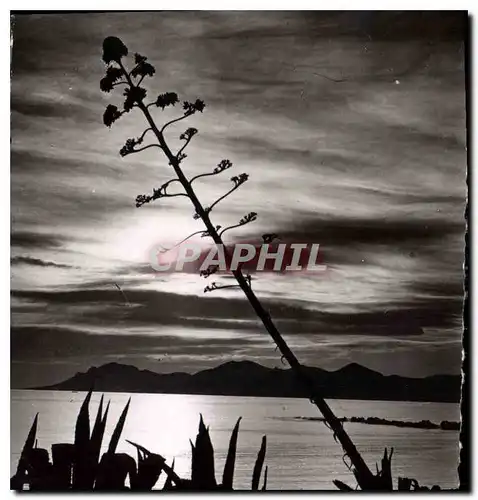 Ansichtskarte AK La Cote d'Azur Cannes Coucher de Soleil dans l'Esterel