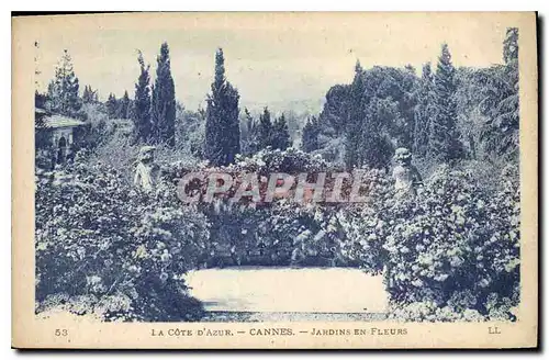 Cartes postales La Cote d'Azur Cannes Jardins en Fleurs