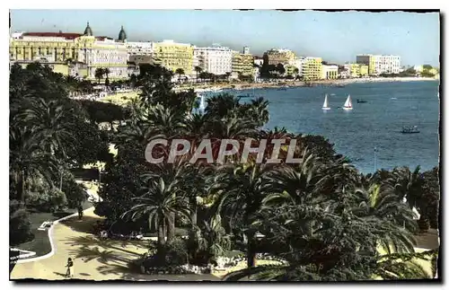 Cartes postales La Cote d'Azur Cannes les Jardins et les Hotels sur la Croisette