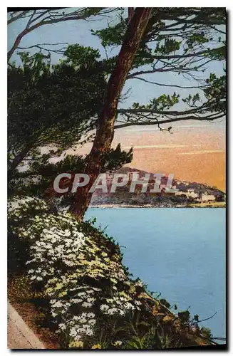 Ansichtskarte AK Flore Artistique Au bord de la Mer