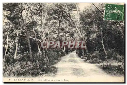 Ansichtskarte AK Le Cap Martin Une Allee de la Foret