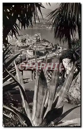 Cartes postales Monte Carlo et le Casino vus du Jardin Exotique