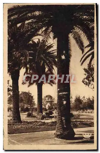 Cartes postales Nice Un coin du Jardin Albert 1er