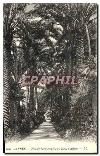 Cartes postales Cannes Allee de Palmiers prise a l'Hotel d'Albion