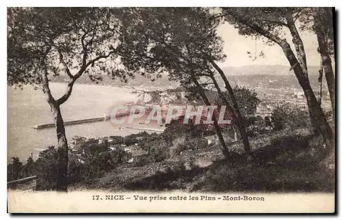 Cartes postales Nice Vue prise entre les Pins Mont Boron