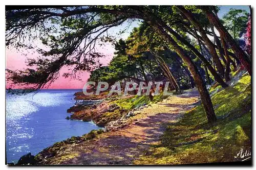 Ansichtskarte AK Menton A M Cap Martin Promenade au bord de Mer