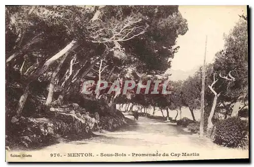 Ansichtskarte AK Menton Sous Bois Promenade du Cap Martin