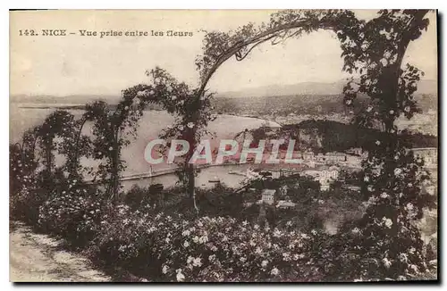 Cartes postales Nice Vue prise entre les fleurs