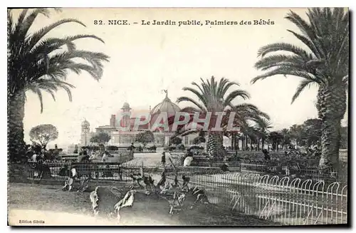 Cartes postales Nice Le Jardin public Palmiers des Bebes