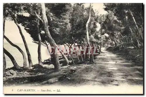 Ansichtskarte AK Cap Martin Sous Bois