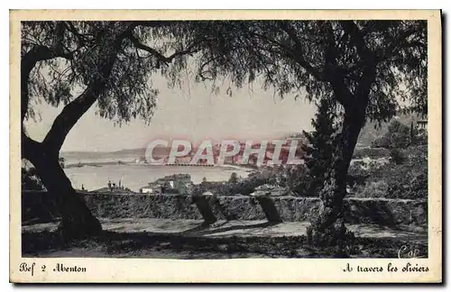 Cartes postales Menton A travers les Oliviers