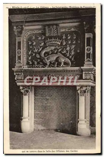 Cartes postales Blois L et C Le Chateau le Salamandre Embleme de Francois Ier