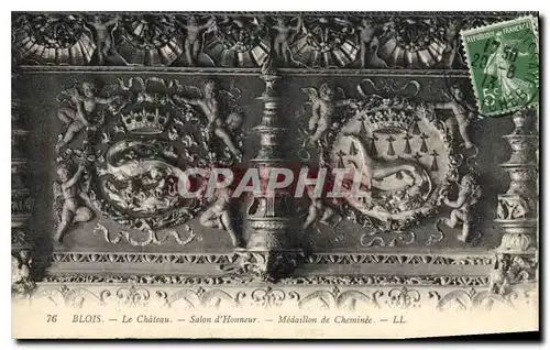 Cartes postales Blois Le Chateau Salon d'Honneur Medaillon de Cheminee