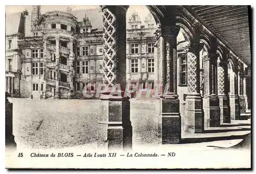 Cartes postales Chateau de Blois Aile Louis XII La Colonnade