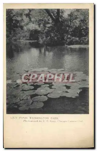 Cartes postales Lily Pond Washington Park