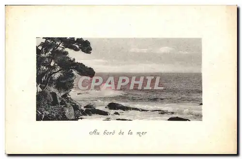 Cartes postales Au bord de la Mer