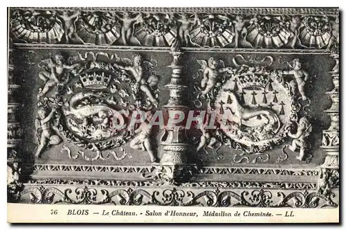 Cartes postales Blois Le Chateau Salon d'Honneur Medaillon de Cheminee