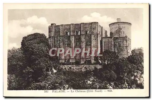 Cartes postales Falaise Le Chateau Cote Nord