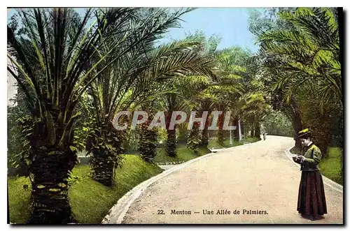 Cartes postales Menton Une Allee de Palmiers