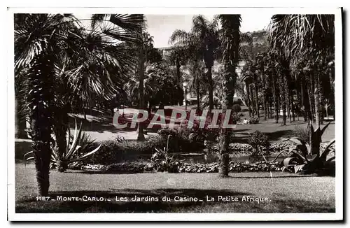 Cartes postales Monte Carlo Les Jardins du Casino La Petite Afrique