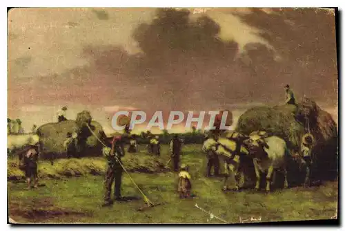 Cartes postales Attelage B�ufs