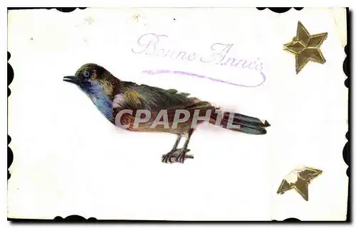 Cartes postales Bonne Annee Oiseau
